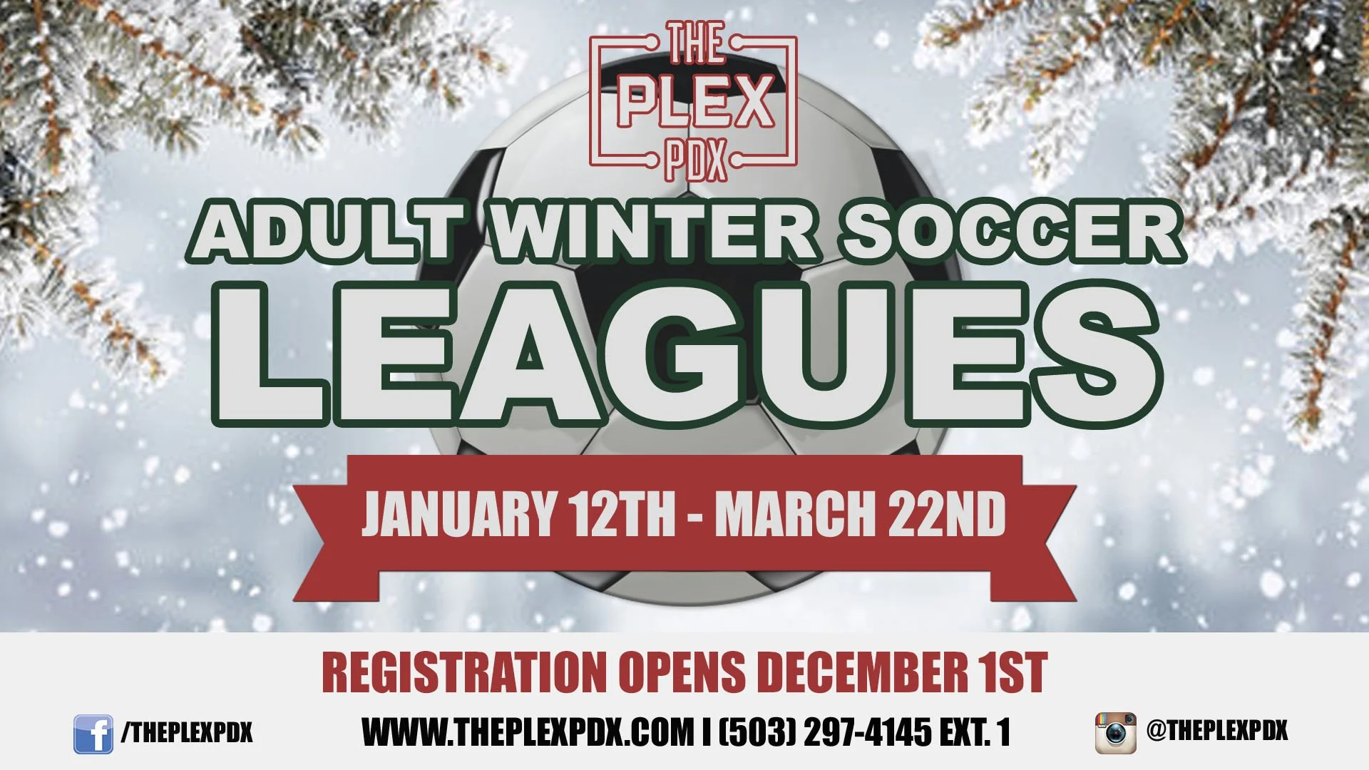 Adult Leagues — The Plex
